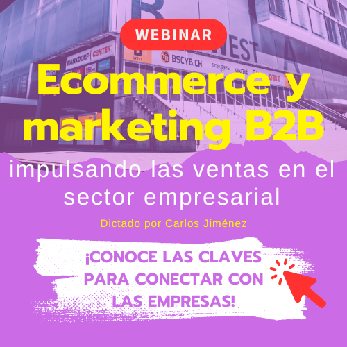 Webinar eCommerce y marketing B2B